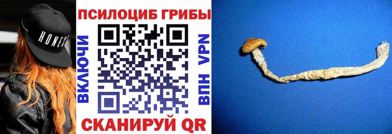 Галлюциногенные грибы GOLDEN TEACHER  Купить где  Ростов 